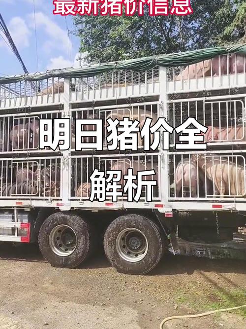 突发：猪价下跌刹不住车，25地猪价全线猛降，多地6元猪价到来