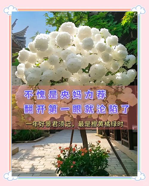 豆瓣9.2,年度最美治愈记录片来了!