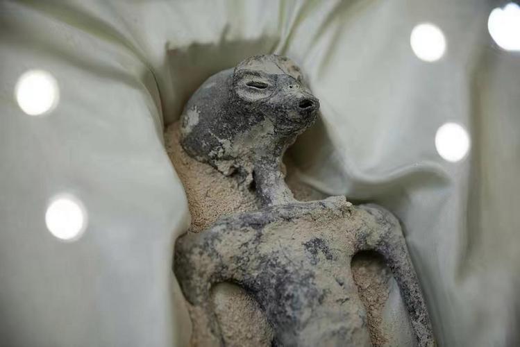 法医考古学家揭“外星生物遗骸”真相:胶水粘合人、动物骨骼,外披假皮肤