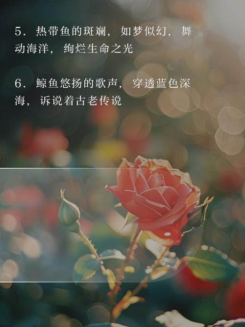 从小鱼做到大如鲸，皮带许的传奇，一般人复制不了