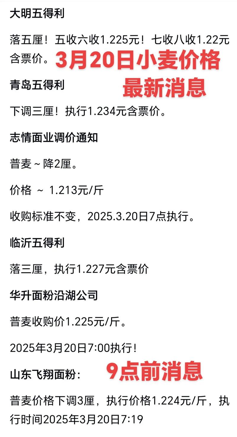 小麦价格“血流成河”，面粉企业“乱象丛生”，3月22日小麦行情