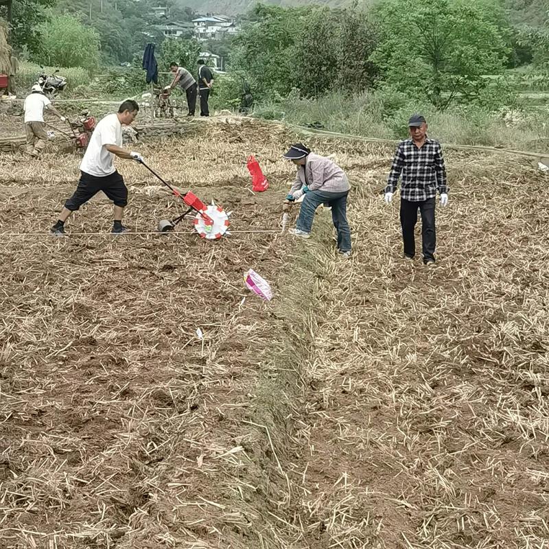 种地他们是认真的