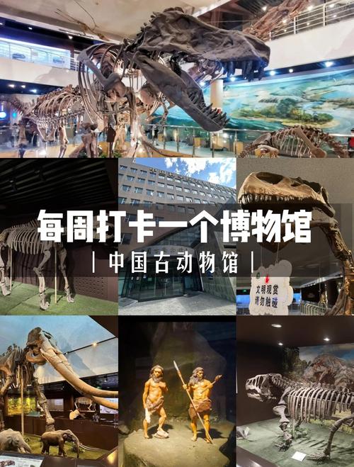 神奇动物在哪里?河南的博物馆里寻踪迹