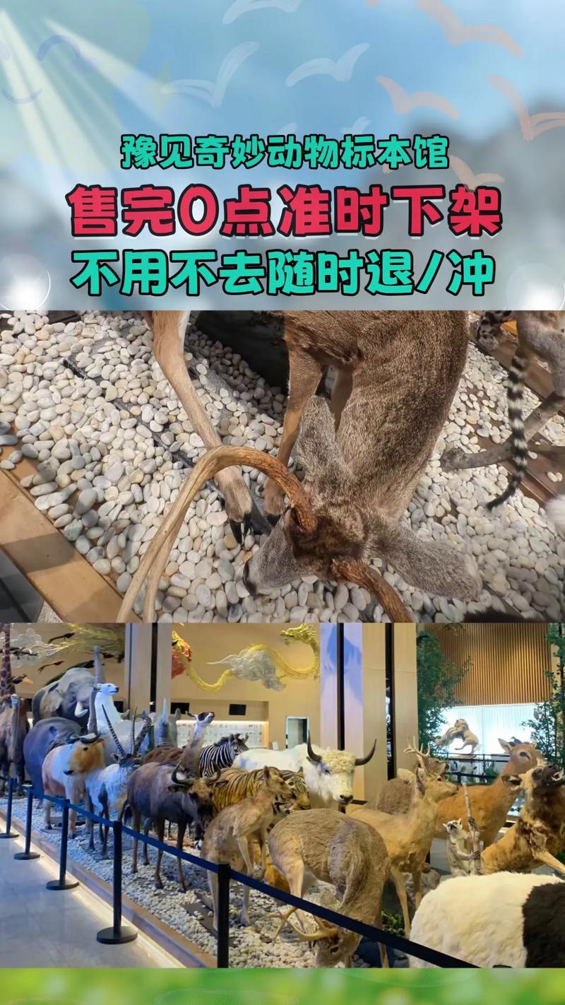 神奇动物在哪里？河南的博物馆里寻踪迹