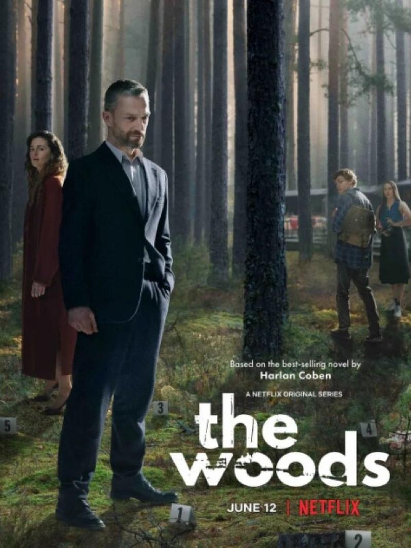 Netflix三月必看的四部剧,复仇悬疑探案大幕再度拉开