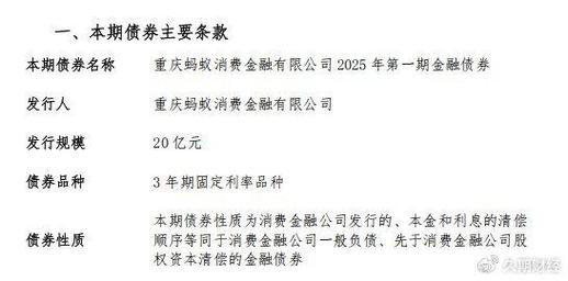 重庆蚂蚁消金年报发布：资产总额1062亿，实现稳健发展