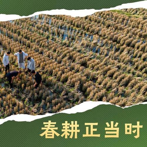 人勤春来早！巴里坤县累计发放春耕备耕贷款1亿余元